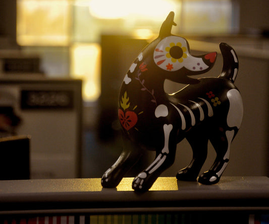 How Much Does a Dog Urn Cost? 2025 Price Guide + Real Examples